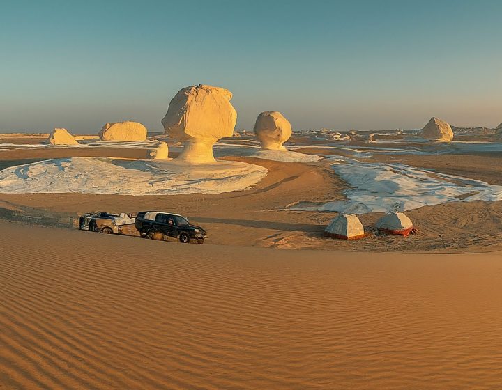 Bahariya Oasis Tour