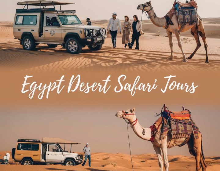 Egypt Desert Safari Tours